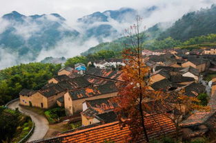 魅力義烏 多彩赤岸——鏡頭定格美景，采風攝影大賽邀您參與