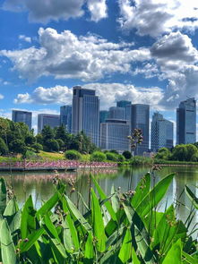 金華人眼中的世界 一一八 義烏攝影 鏡頭下的商貿脈搏與城市變遷